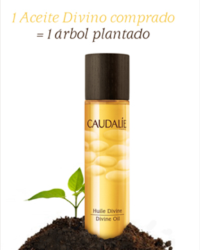 La máscara para los cabellos secos con el aceite de bardana la gelatina